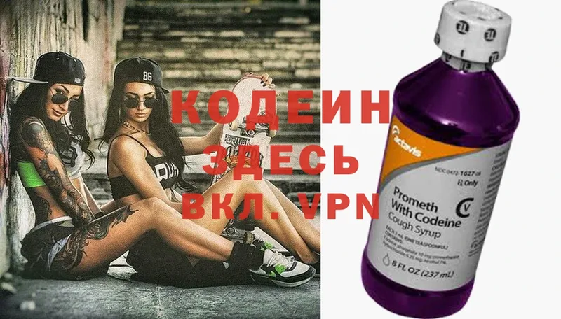 наркота  Заводоуковск  Кодеин Purple Drank 